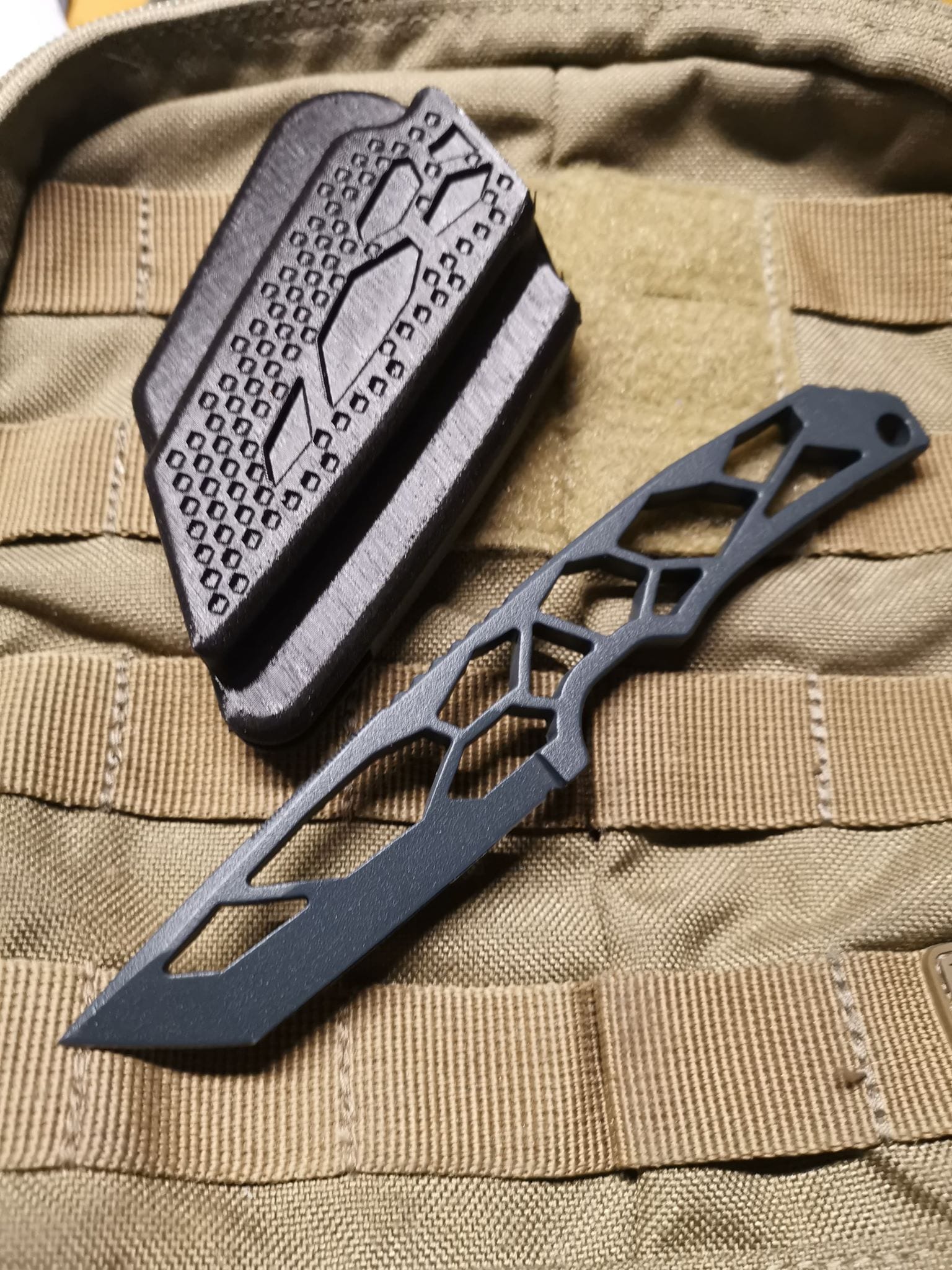 51852511_2216708785235632_8681960399530098688_n