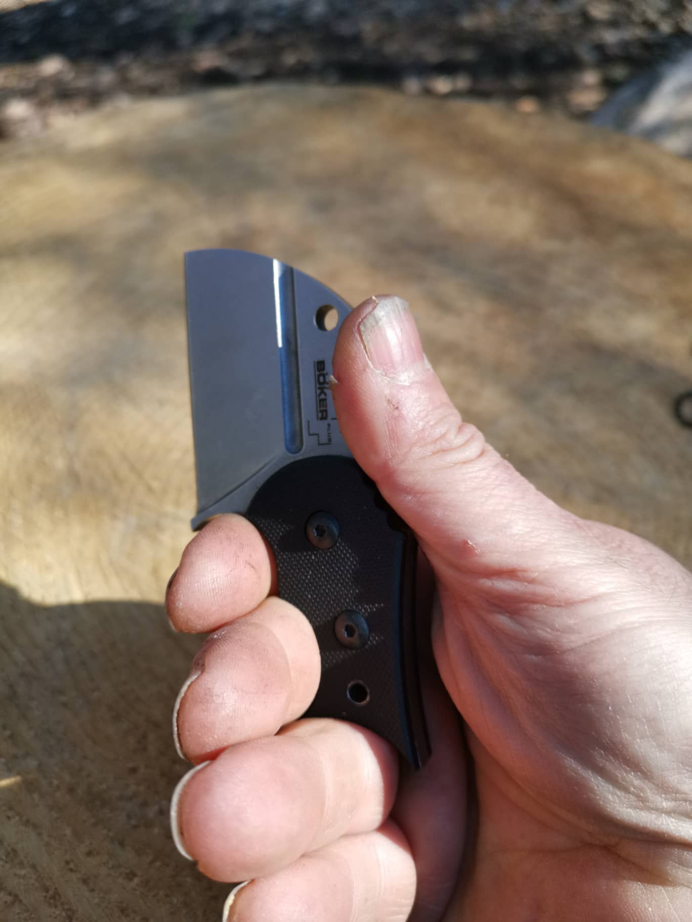 51922947_326566794641431_2545222796707889152_n