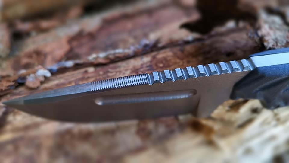 69817201_2391841277547681_3696831660524830720_n