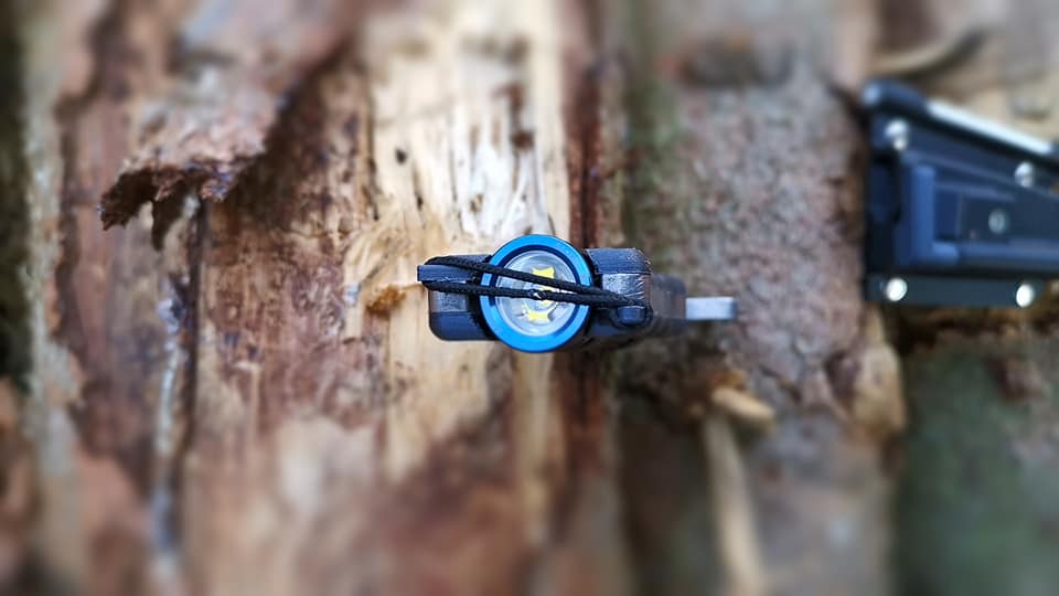 69838873_2391841050881037_2857763344884957184_n