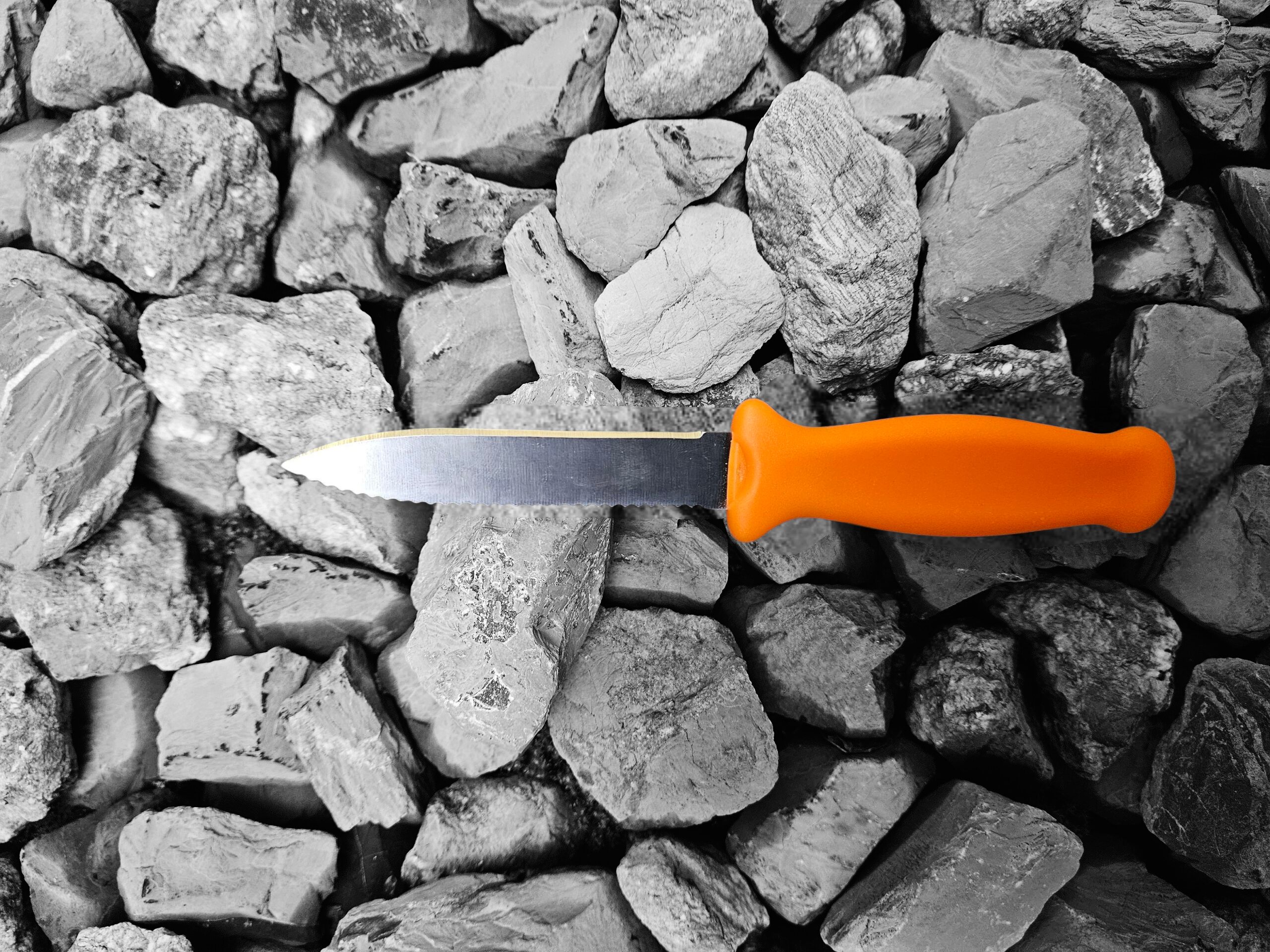 Photoroom-20250926_082749_2