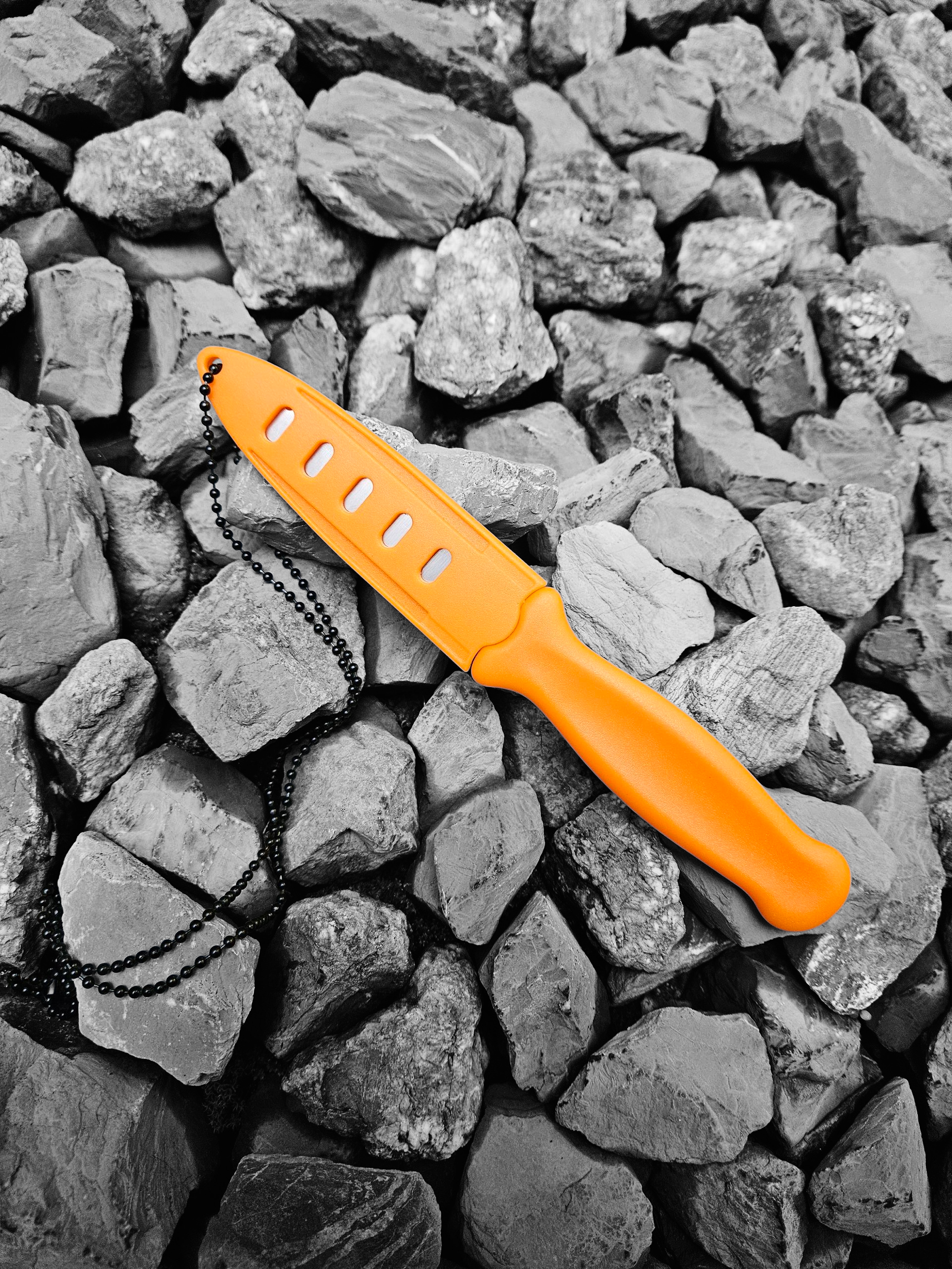 Photoroom-20250926_082749_3